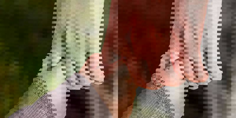 Pexels Pixabay 236164